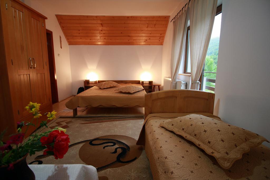Vila Sucu Hotel Poiana Mărului Camera foto
